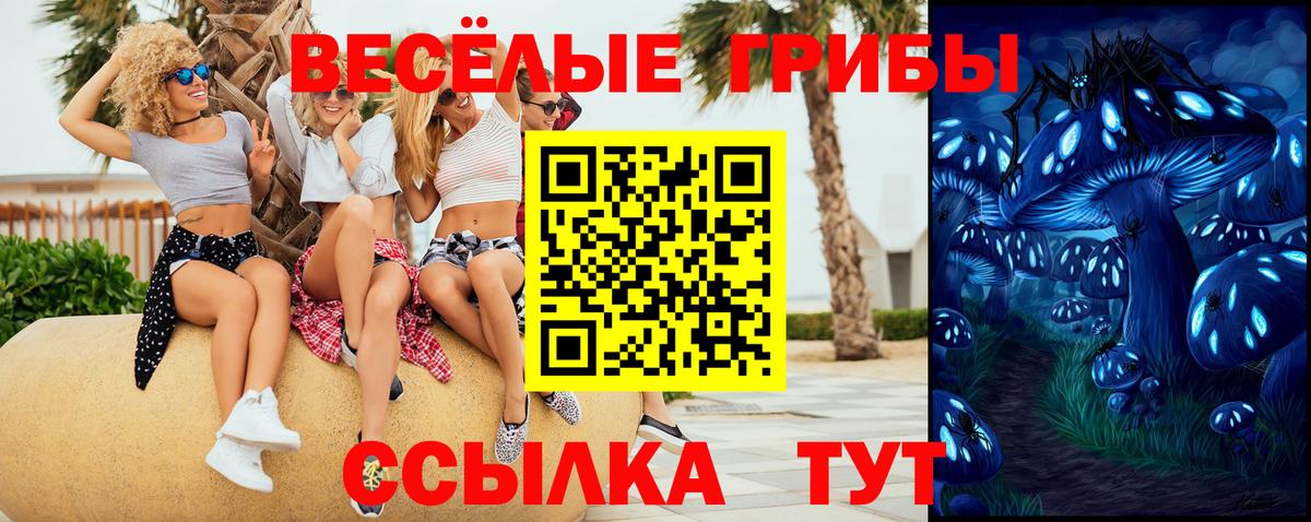 Псилоцибиновые грибы Psilocybine cubensis  Вход с VPN  Томск 